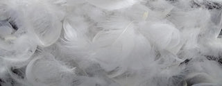 close-up of soft white down feathers, light texture, insulation for jackets or winter coats