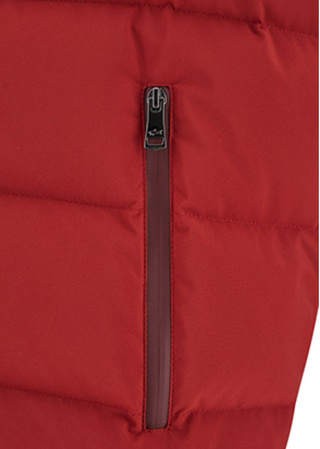 Paul & Shark - Veste de duvet Typhoon PLATINUM avec capuchon