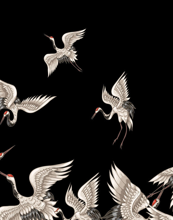 PULLIN - Boxer Fashion 2 BIRDSSS - LE CAPITAINE D'A BORD