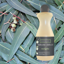 Eucalan - Détergent naturel Eucalyptus 500 ml - LE CAPITAINE D'A BORD