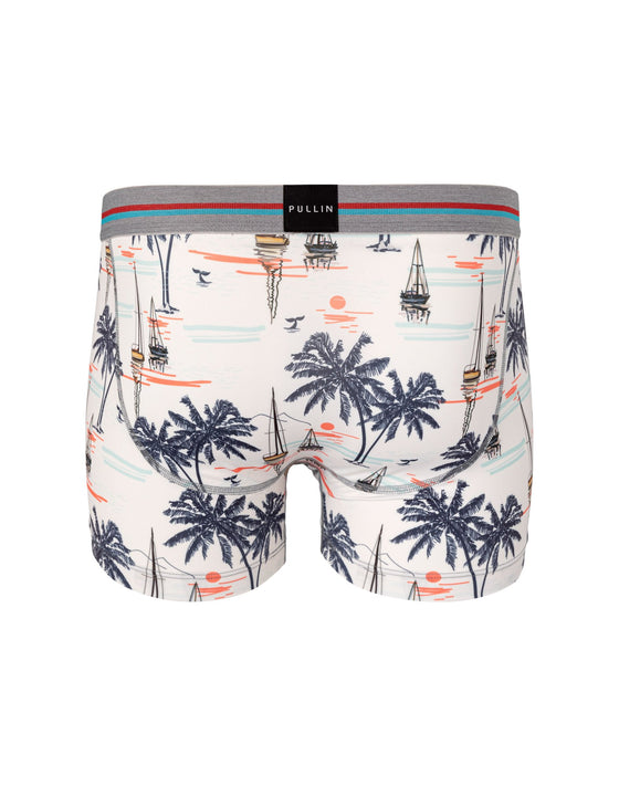 PULLIN - Boxer Master Sailboat - LE CAPITAINE D'A BORD